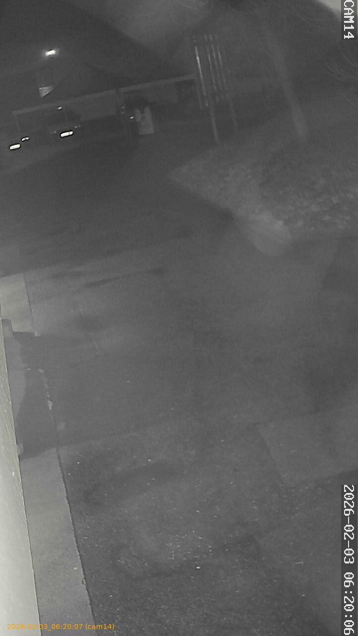 thumbnail_20260203062007