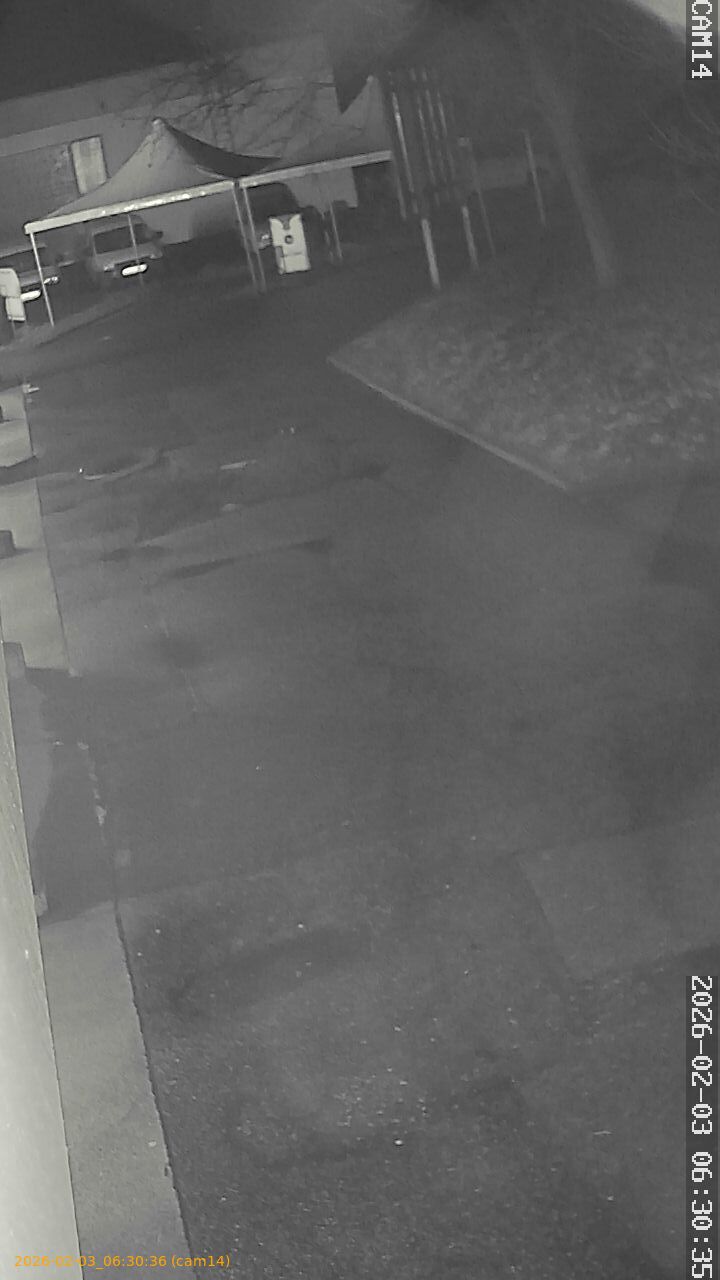 thumbnail_20260203063036