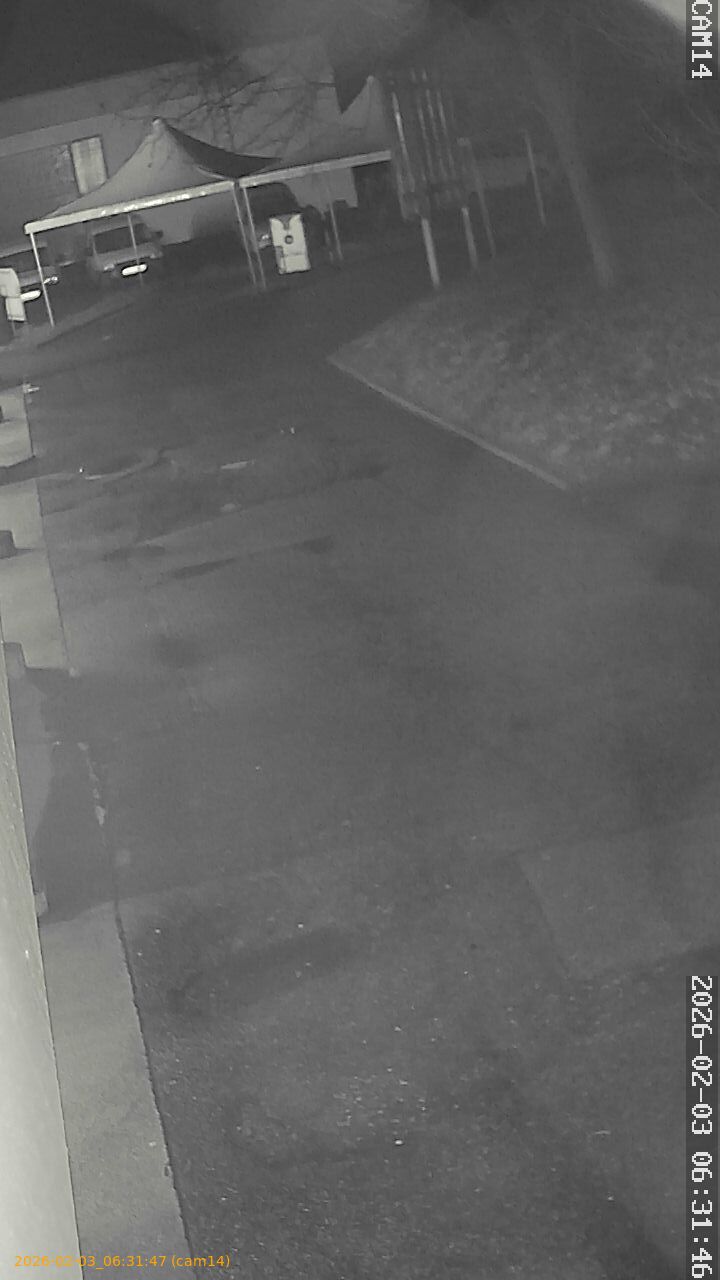 thumbnail_20260203063147