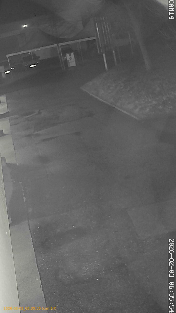 thumbnail_20260203063555