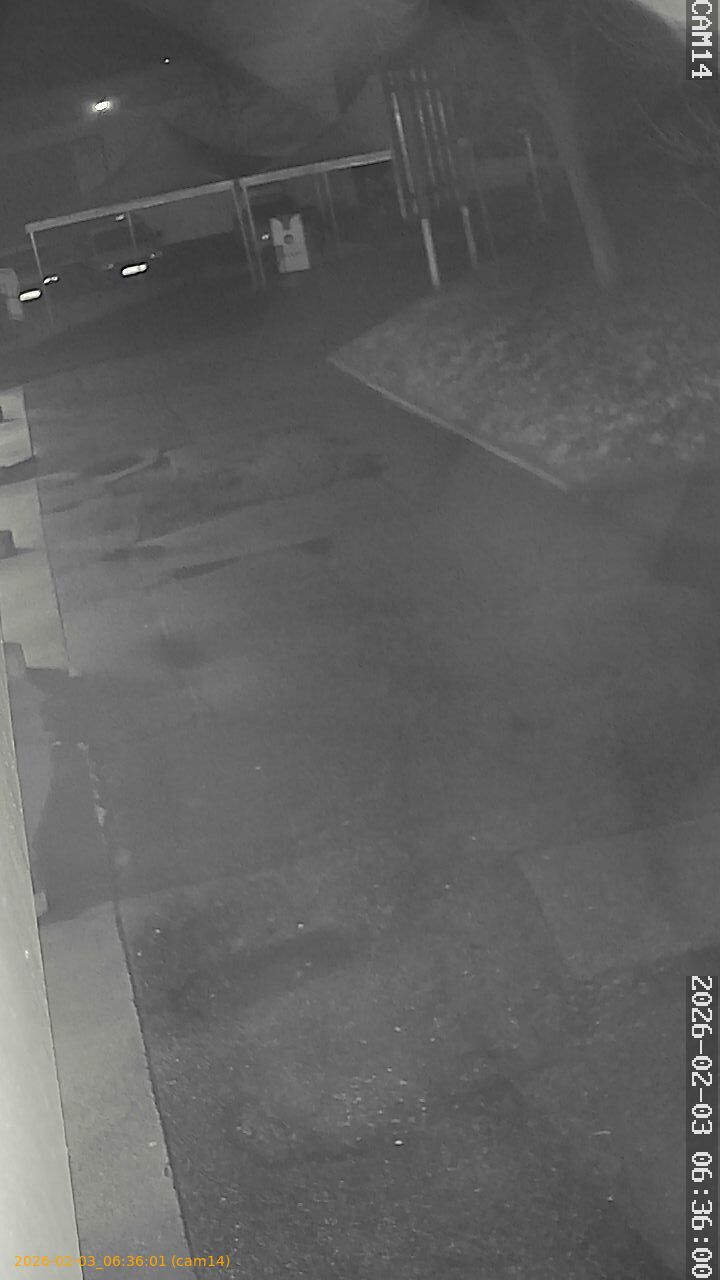 thumbnail_20260203063601