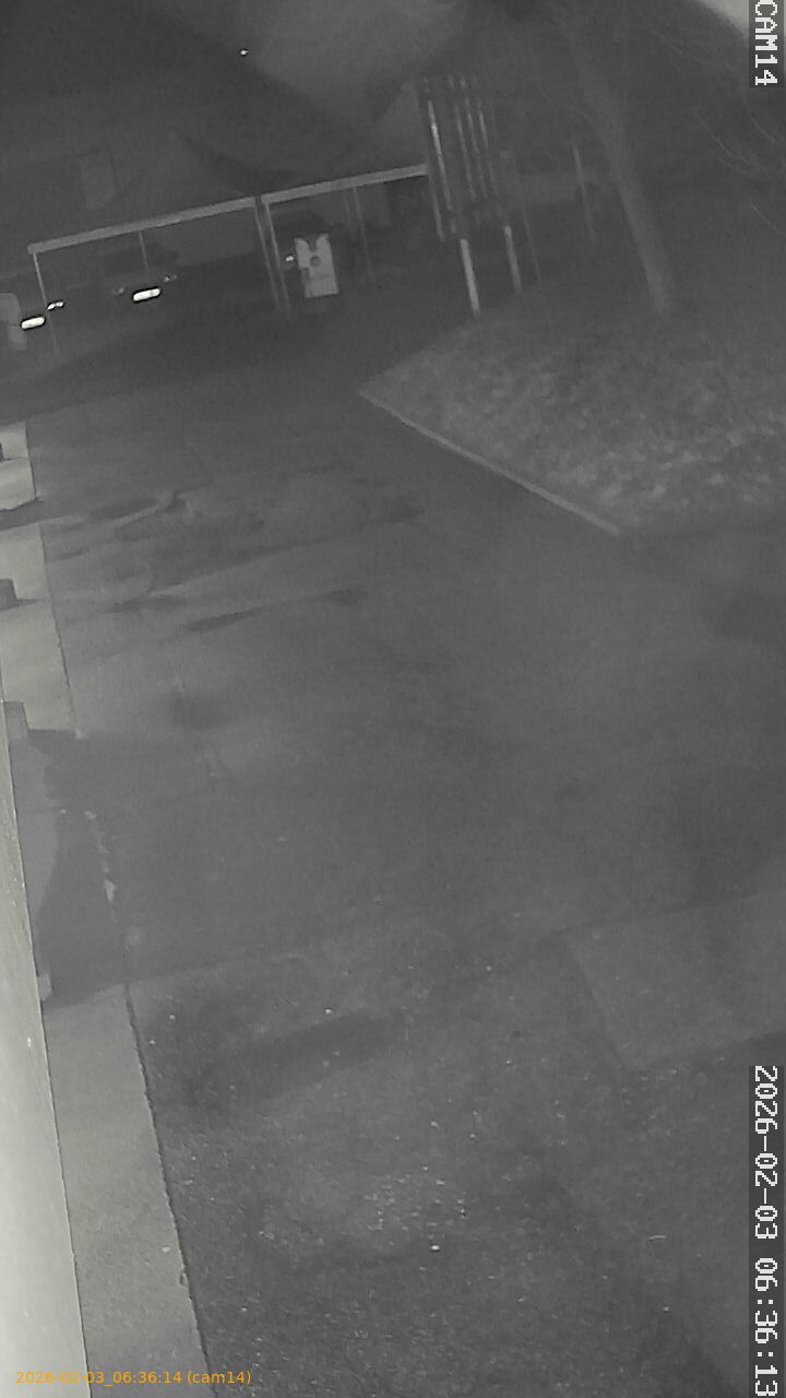 thumbnail_20260203063614