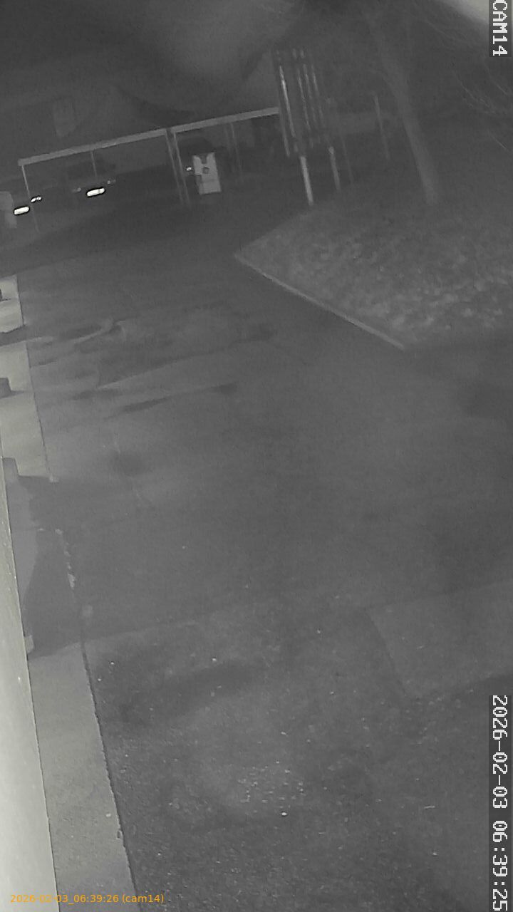 thumbnail_20260203063926