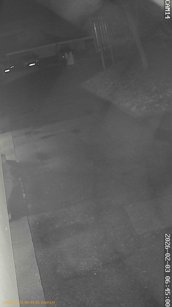 thumbnail_20260203064501