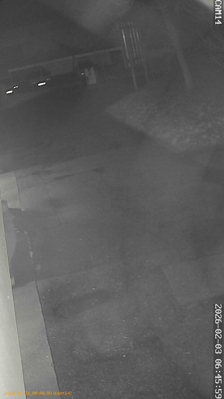 thumbnail_20260203064600