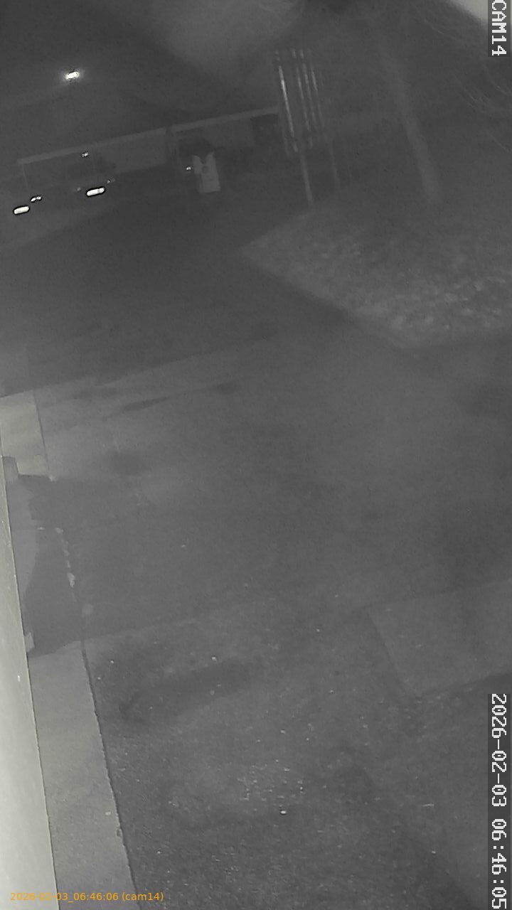 thumbnail_20260203064606