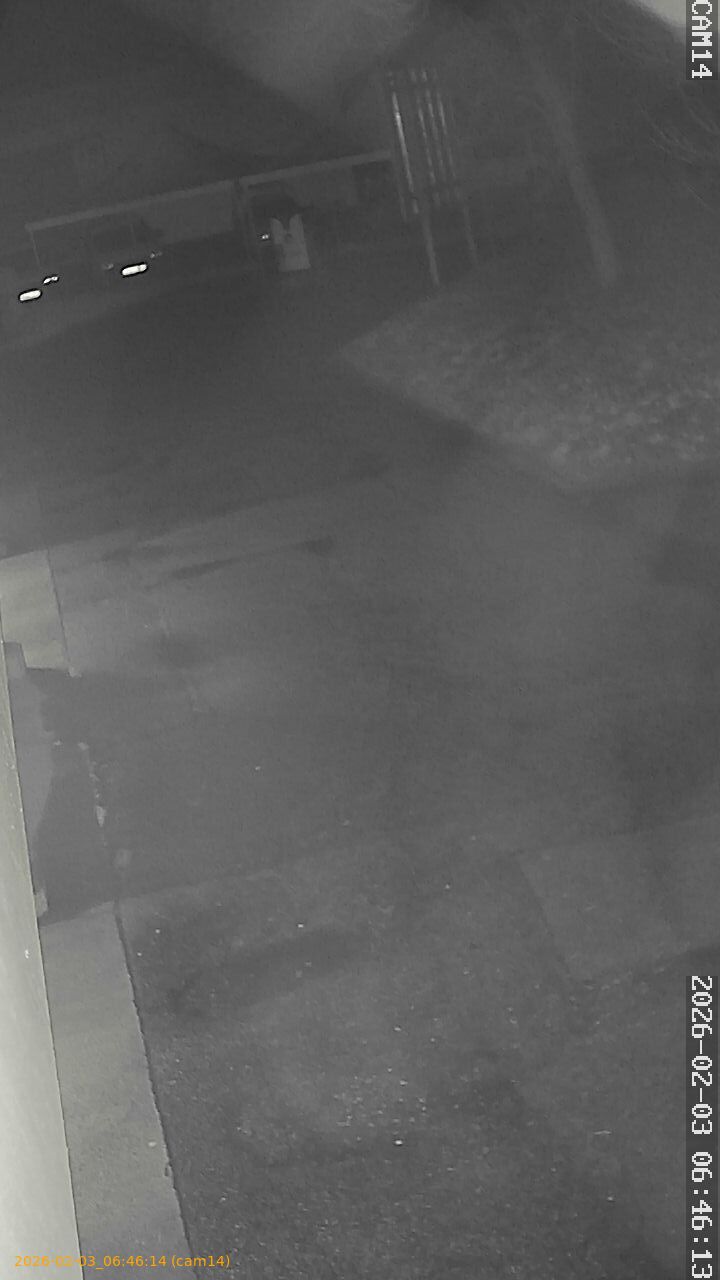 thumbnail_20260203064614