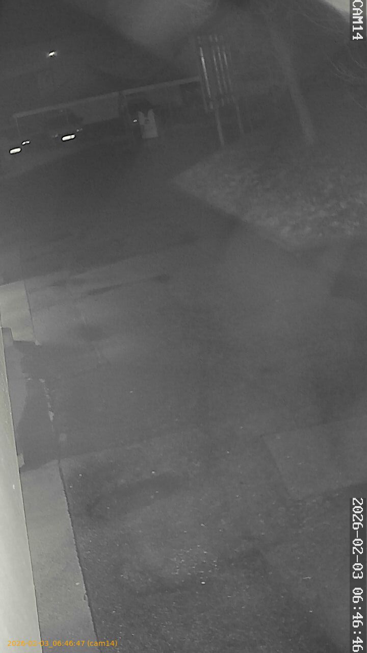 thumbnail_20260203064647