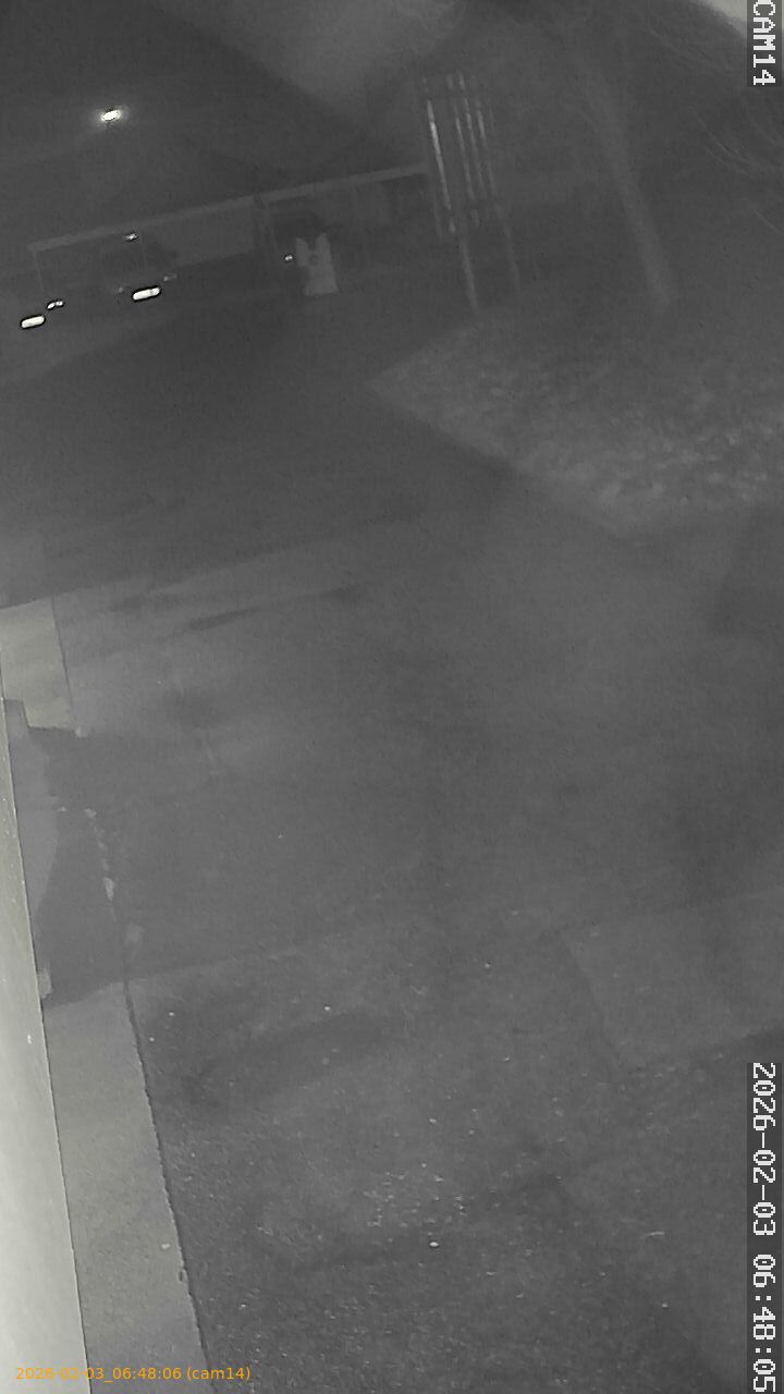 thumbnail_20260203064806