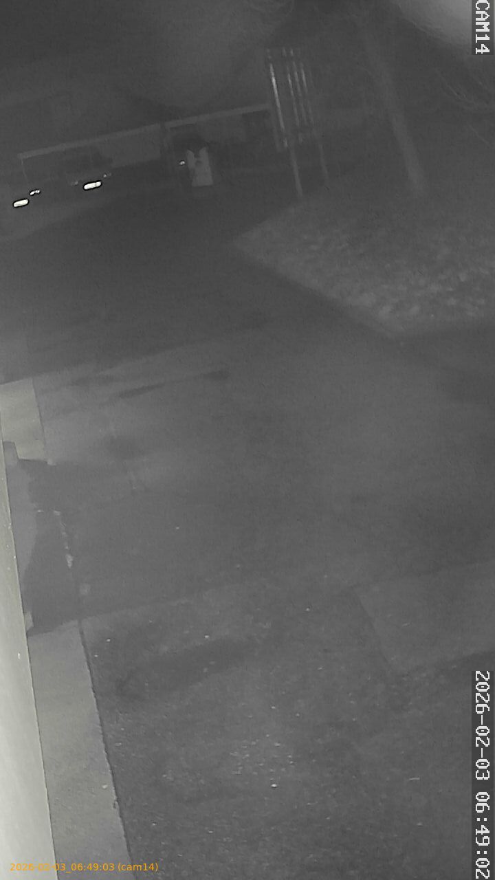 thumbnail_20260203064903