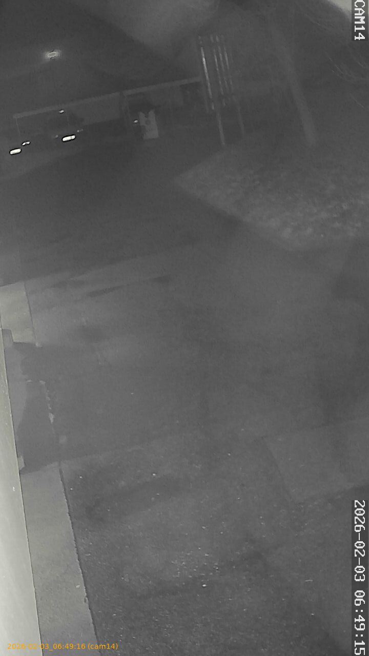 thumbnail_20260203064916