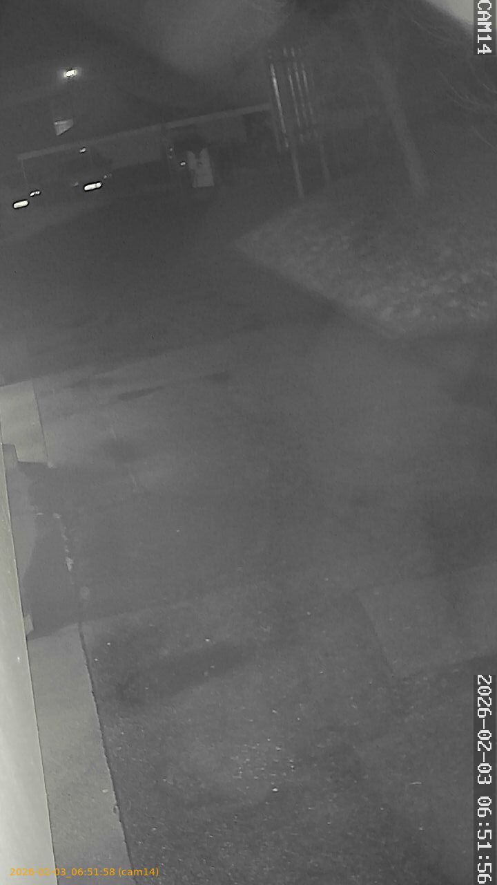 thumbnail_20260203065158