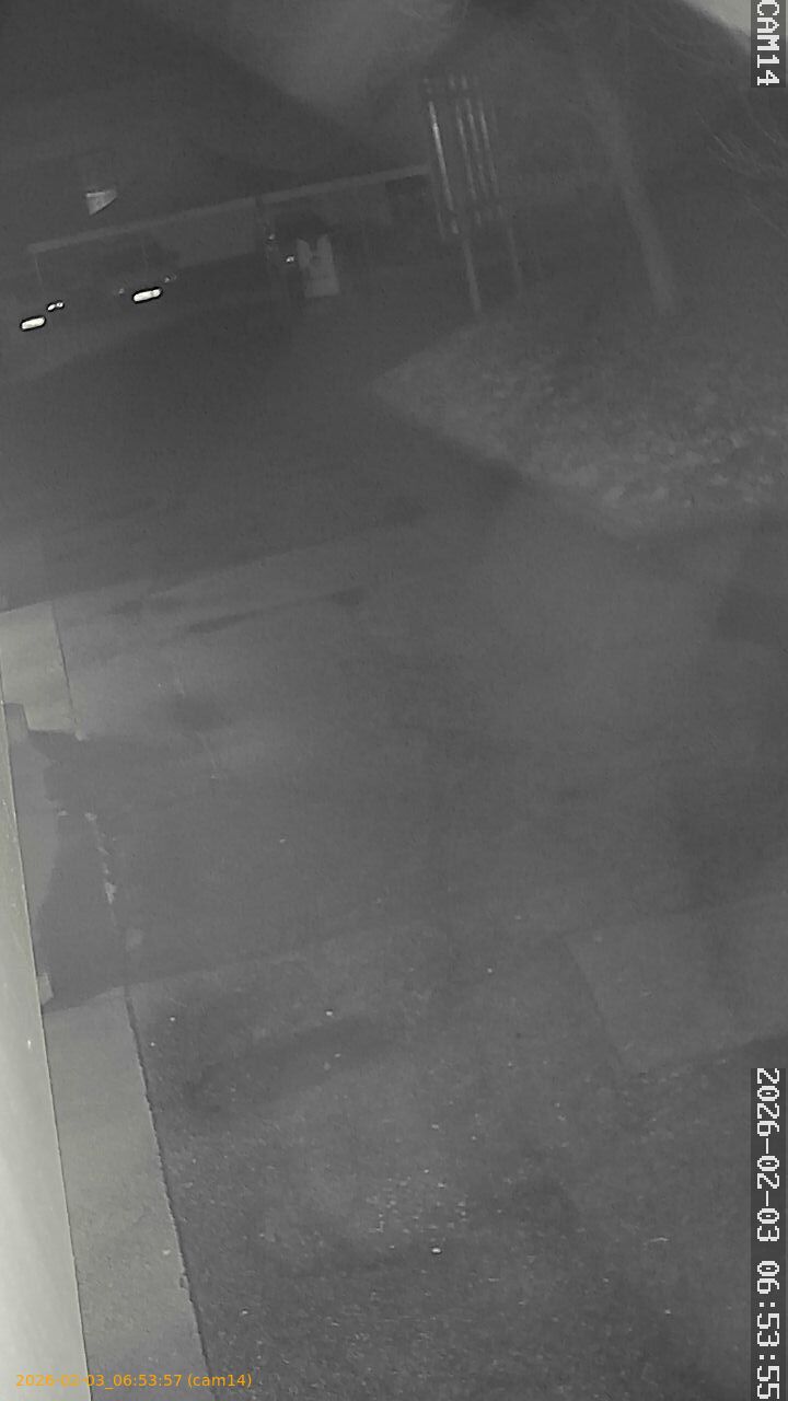 thumbnail_20260203065357