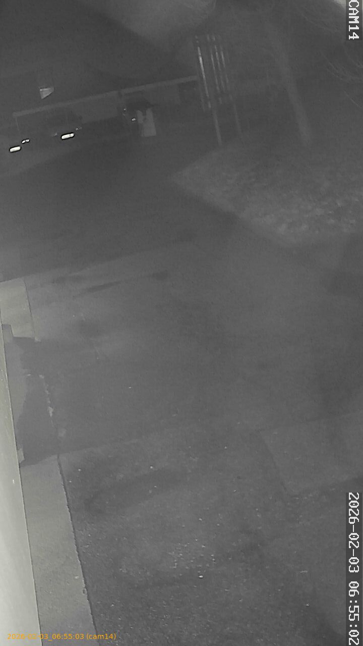 thumbnail_20260203065503