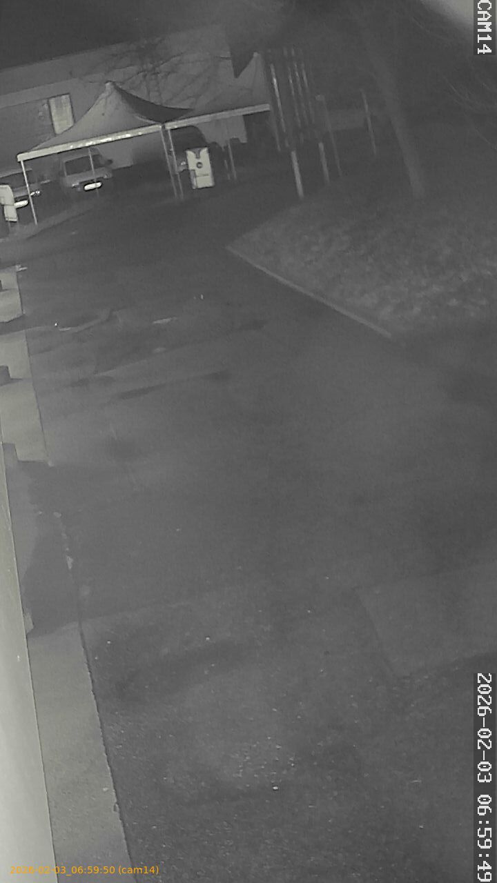 thumbnail_20260203065950