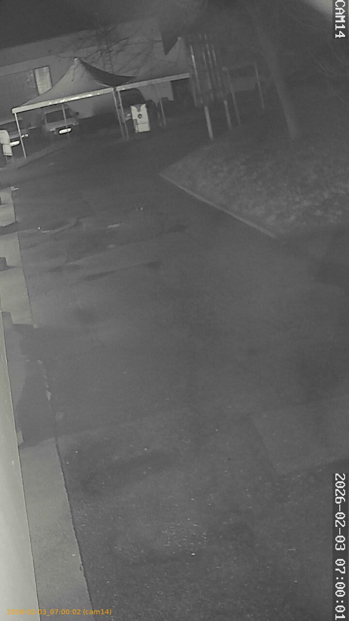 thumbnail_20260203070002