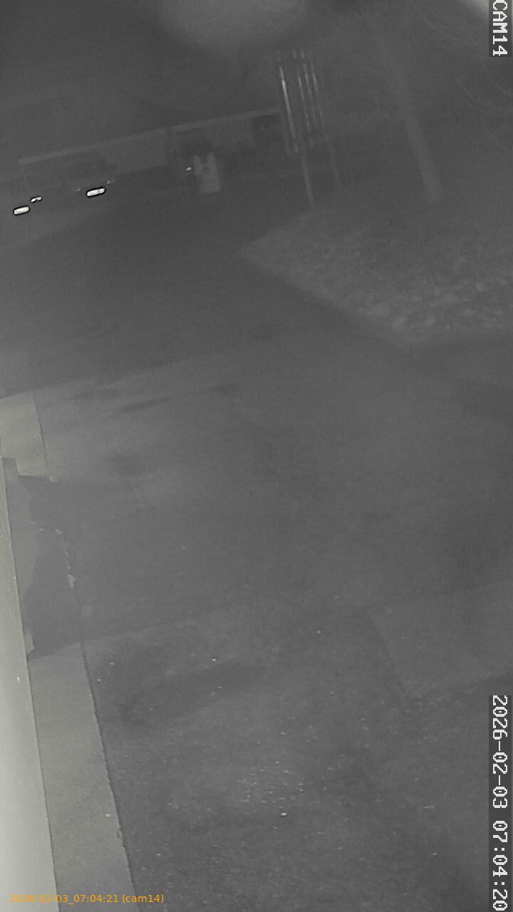 thumbnail_20260203070421