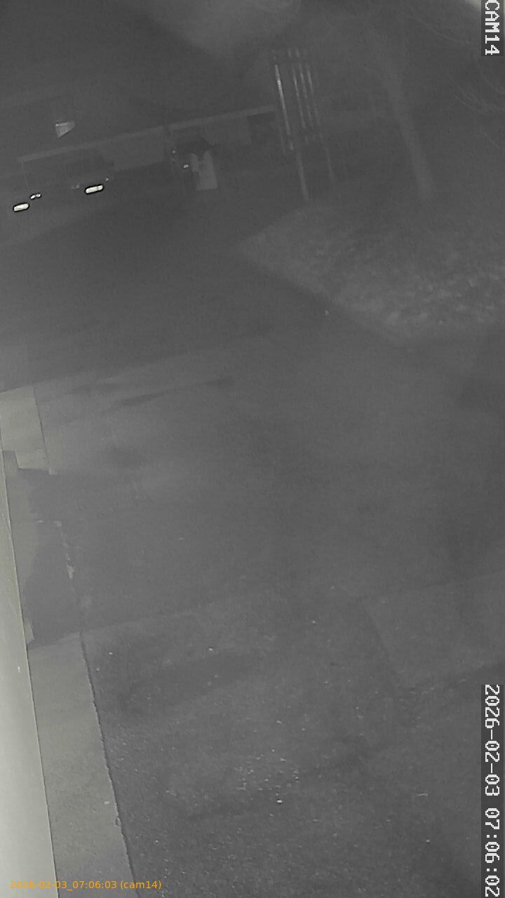 thumbnail_20260203070603