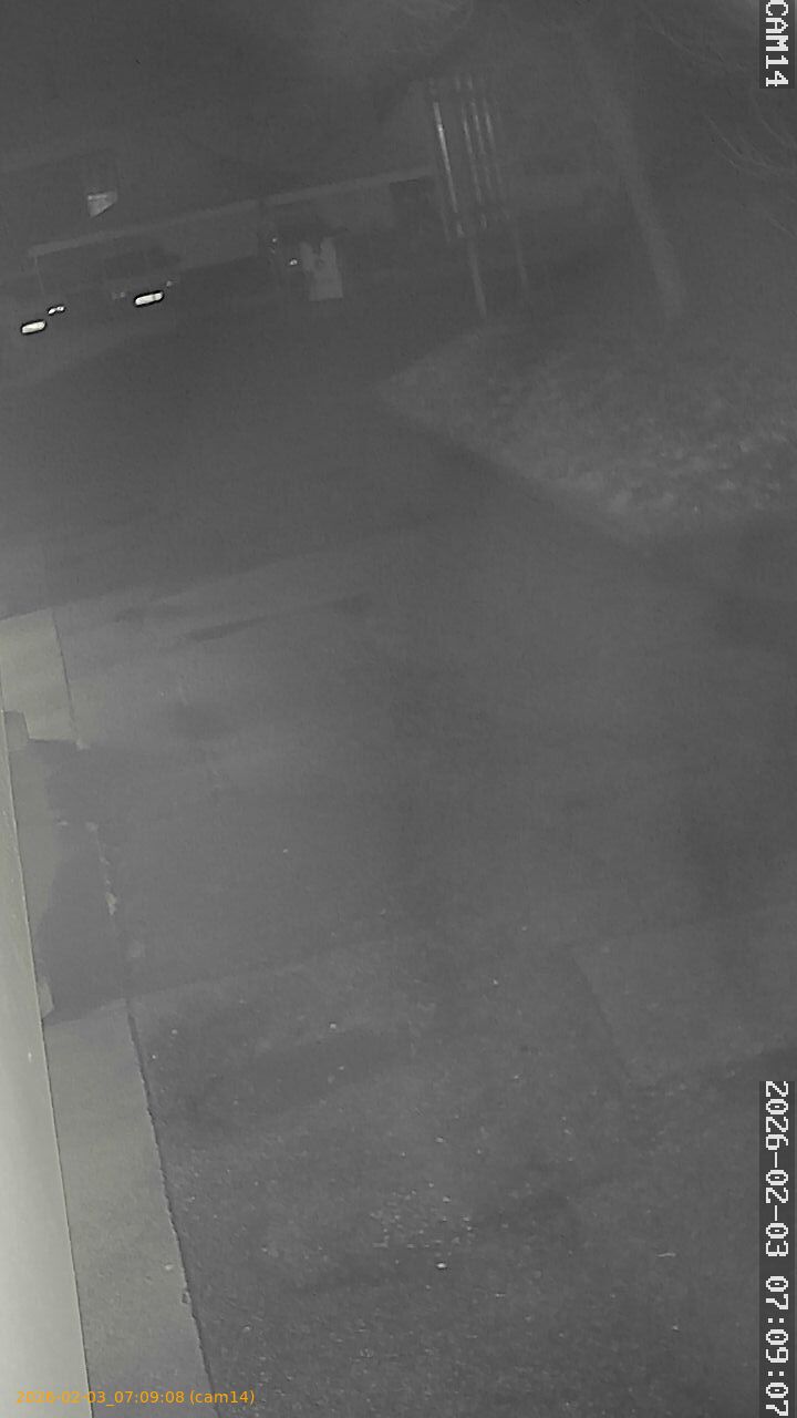 thumbnail_20260203070908