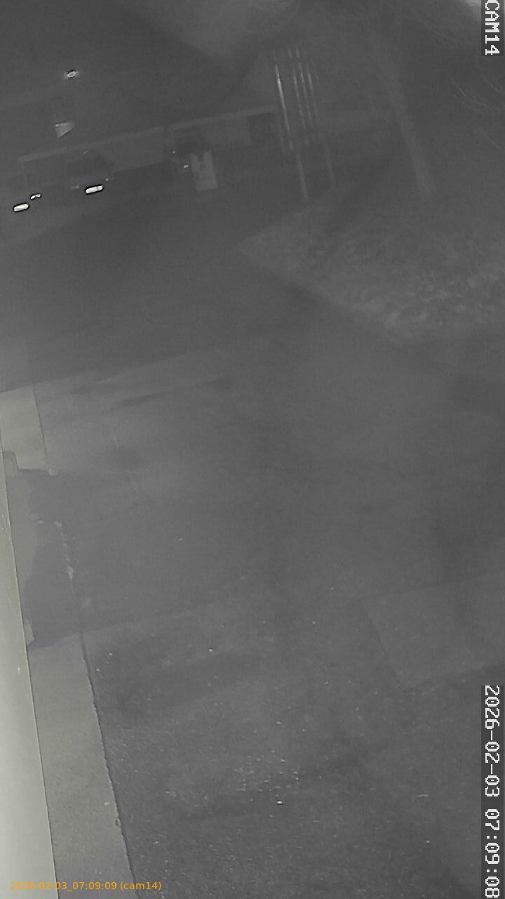 thumbnail_20260203070909