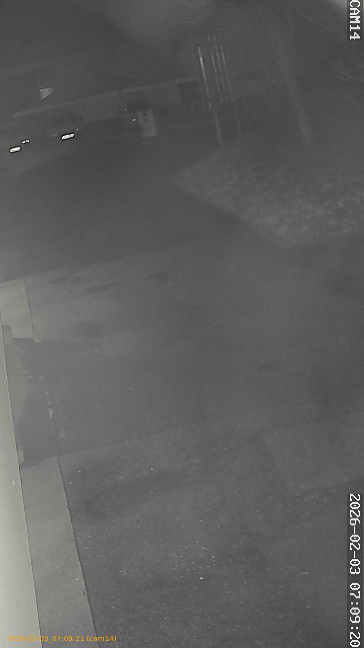 thumbnail_20260203070921