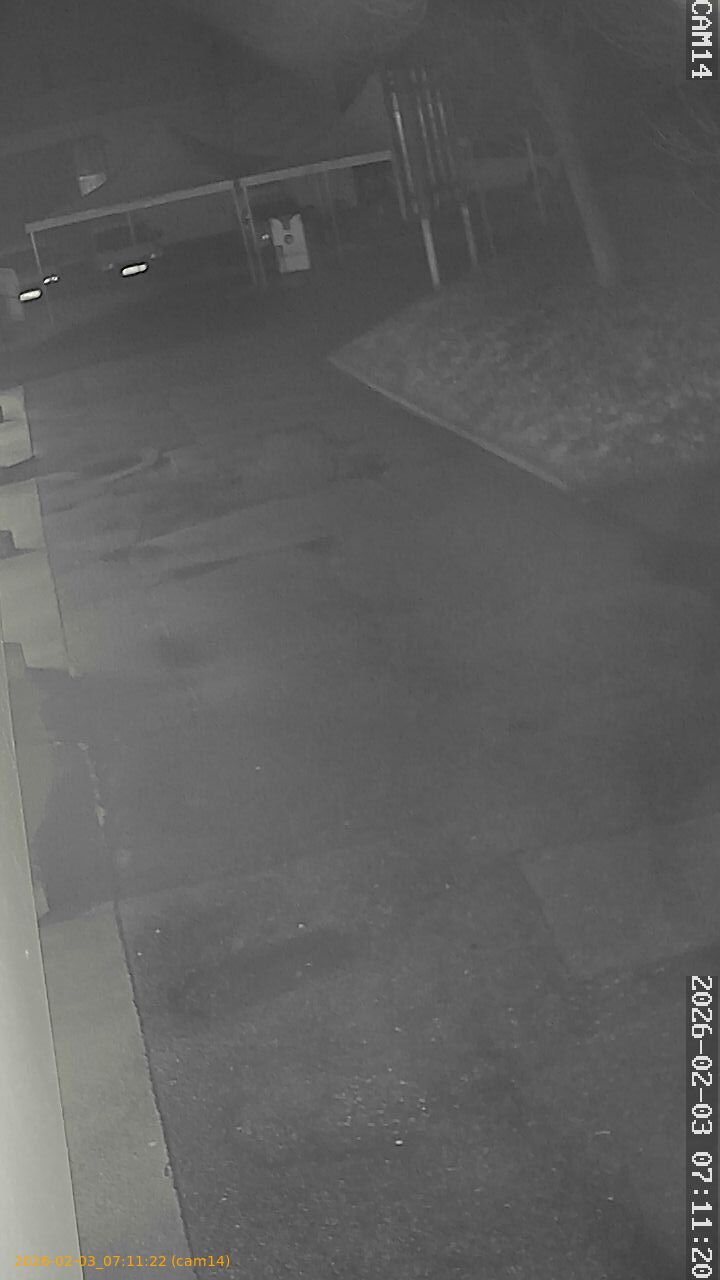 thumbnail_20260203071122