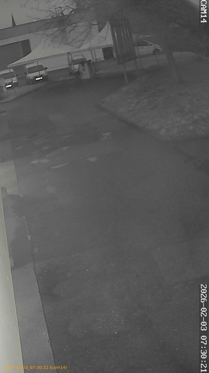 thumbnail_20260203073022