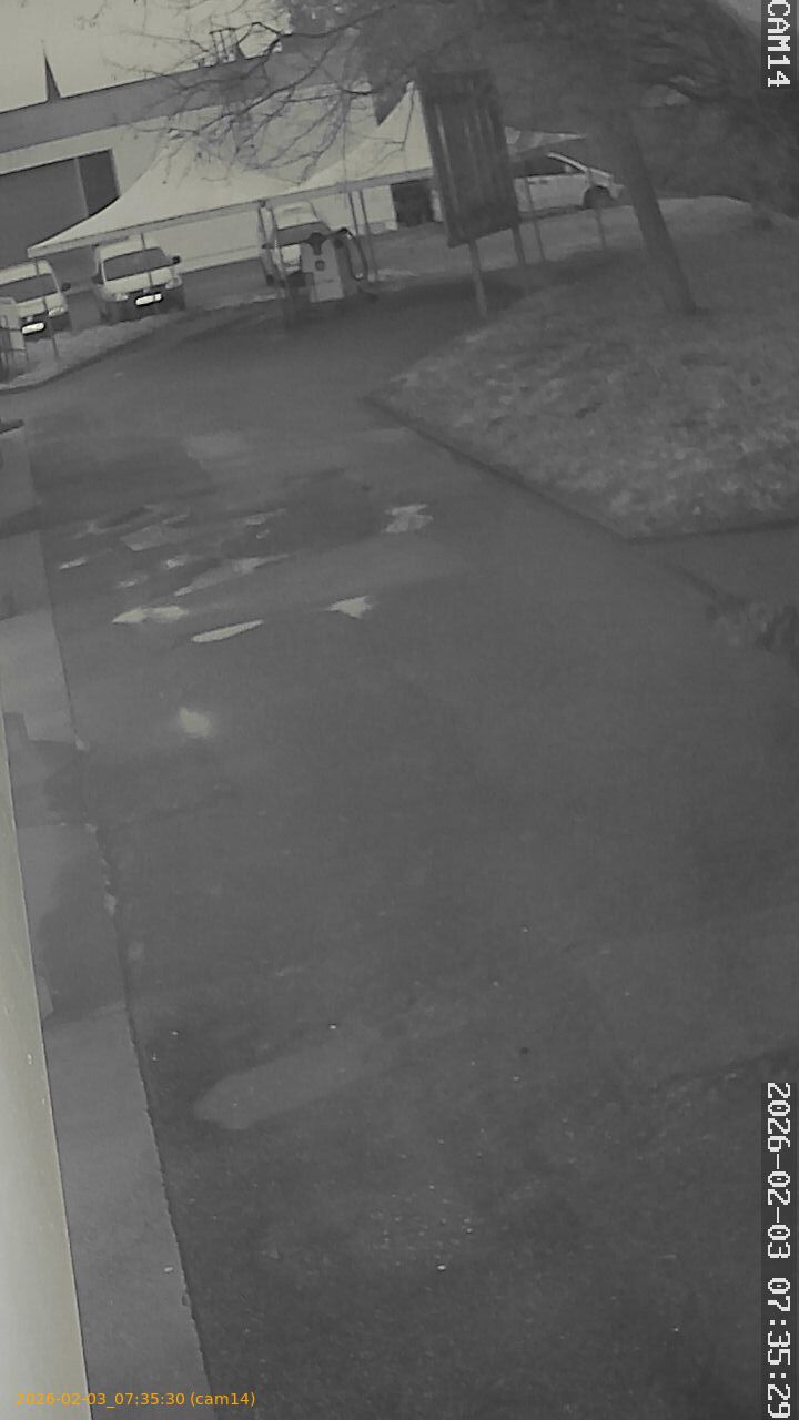 thumbnail_20260203073530