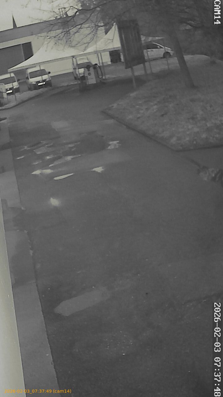 thumbnail_20260203073749