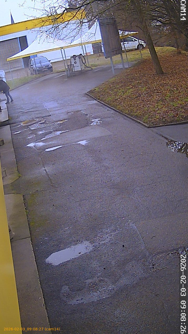 thumbnail_20260203090827