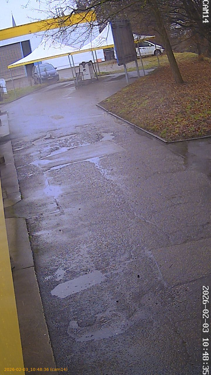 thumbnail_20260203104836