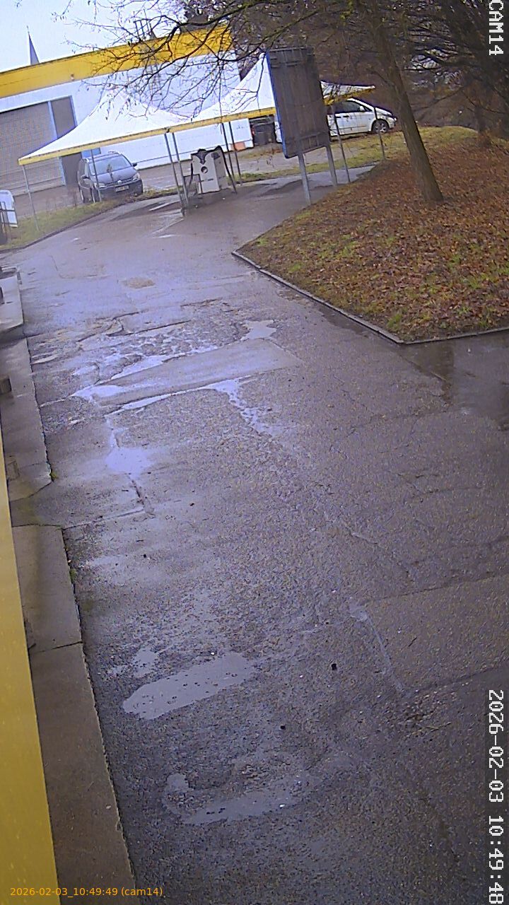 thumbnail_20260203104949