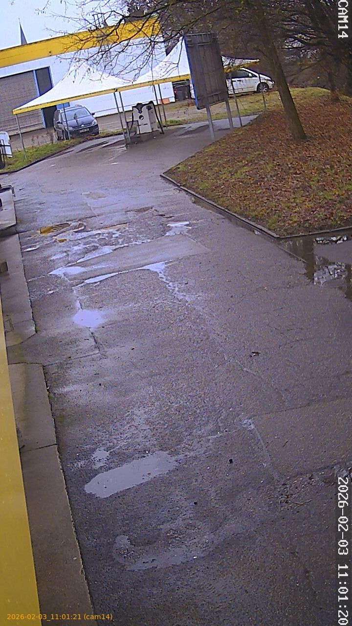 thumbnail_20260203110121