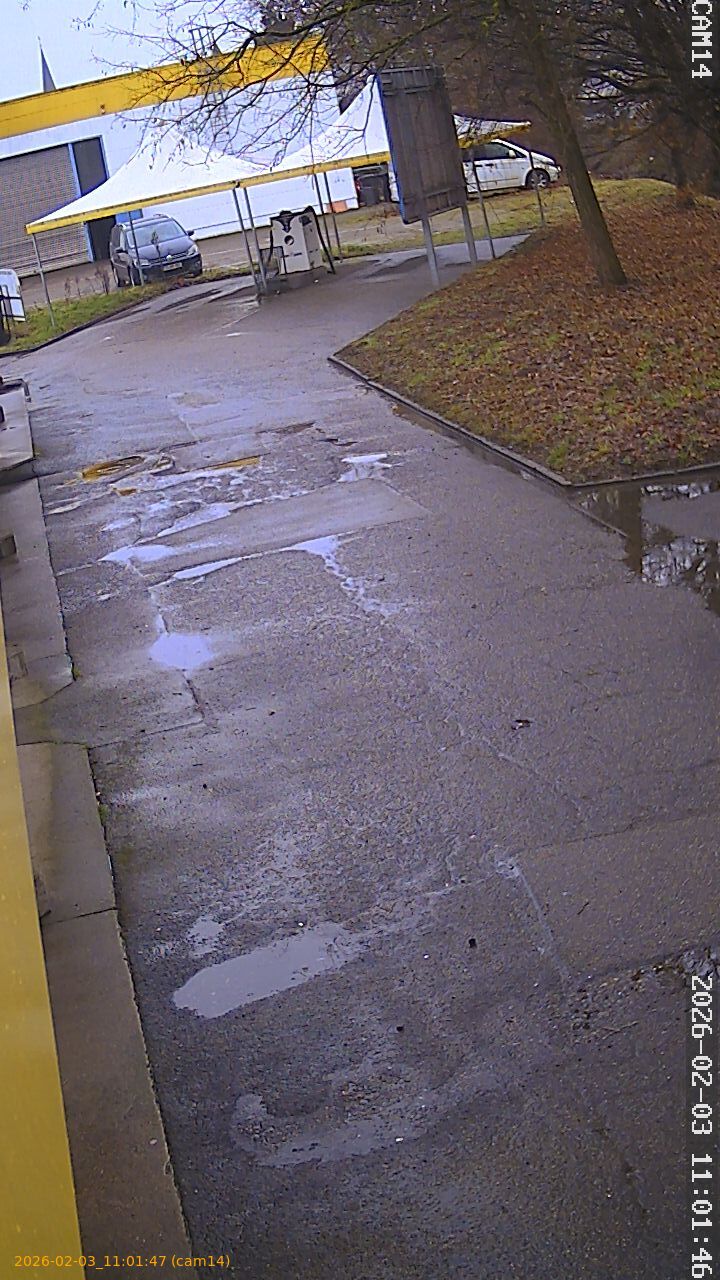 thumbnail_20260203110147