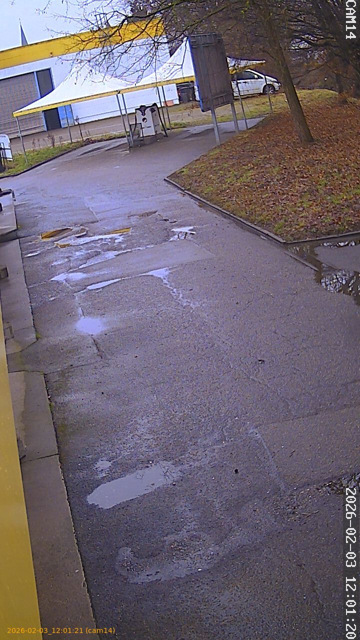 thumbnail_20260203120121