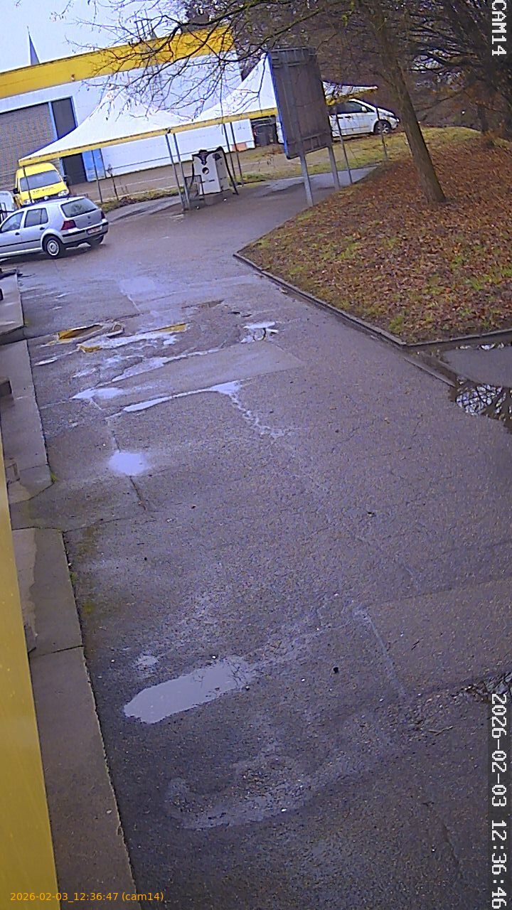 thumbnail_20260203123647