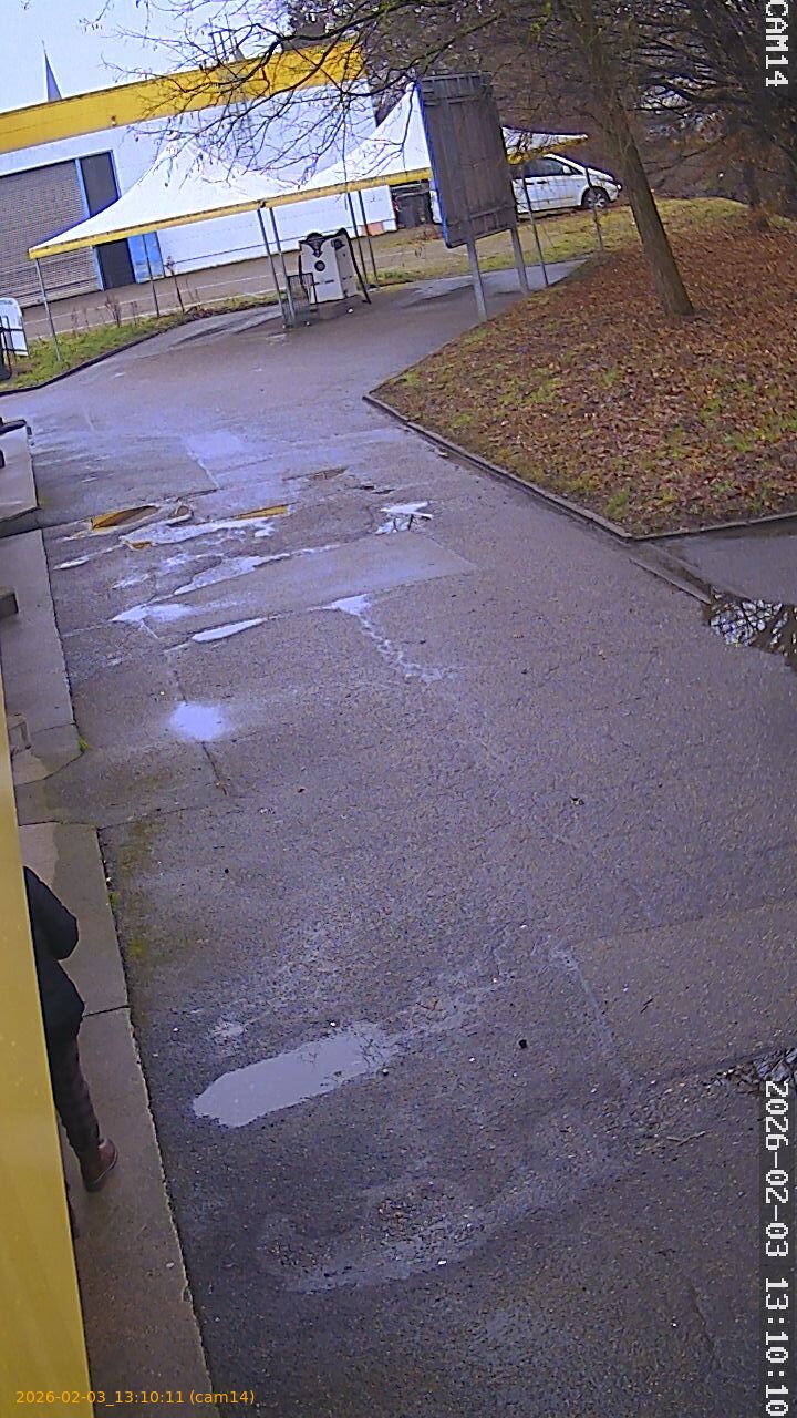 thumbnail_20260203131011