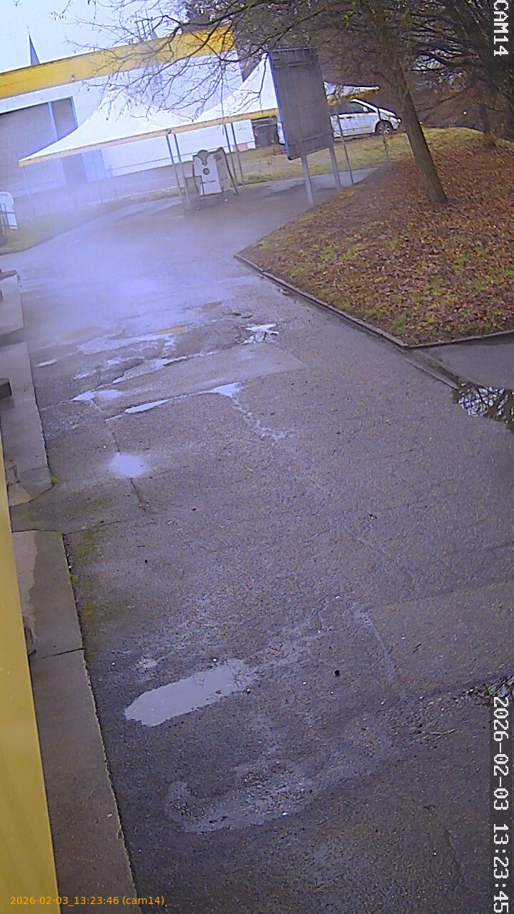 thumbnail_20260203132346