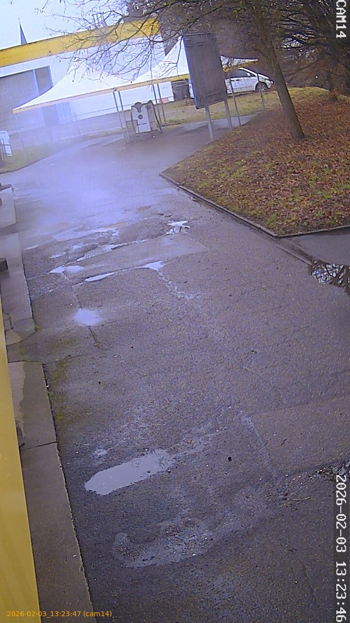 thumbnail_20260203132347