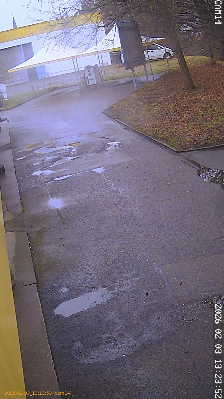 thumbnail_20260203132353