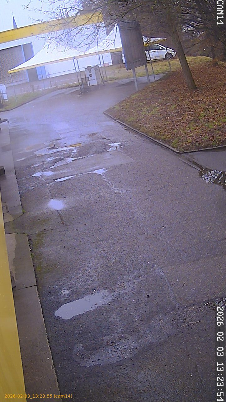 thumbnail_20260203132355