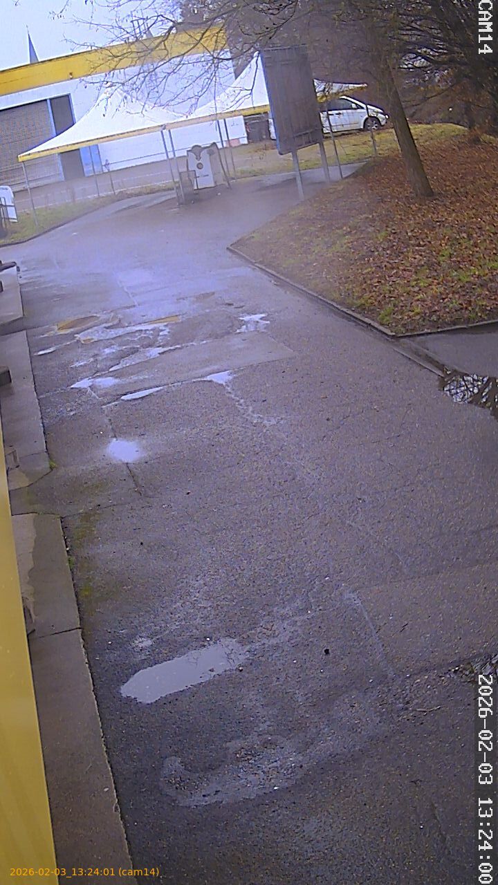 thumbnail_20260203132401