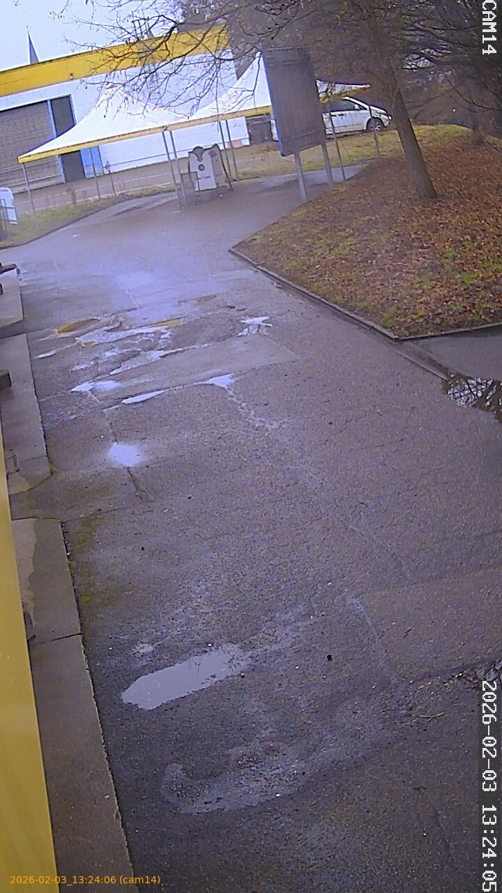 thumbnail_20260203132406