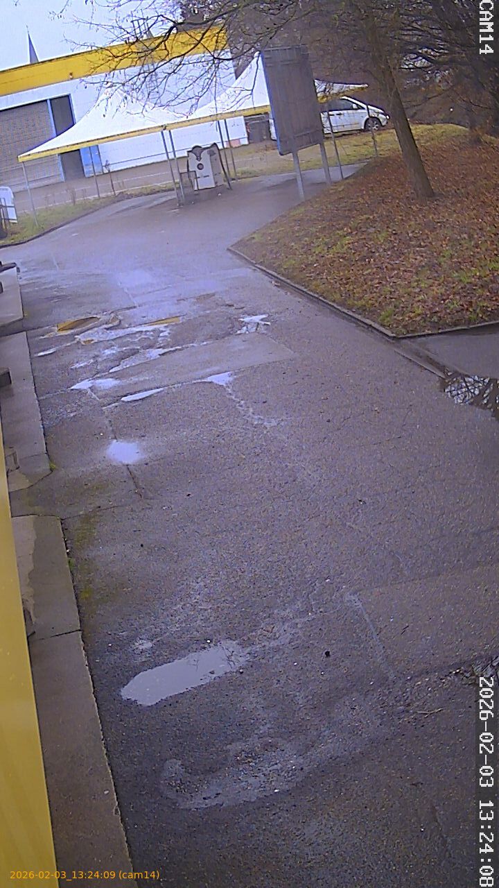 thumbnail_20260203132409