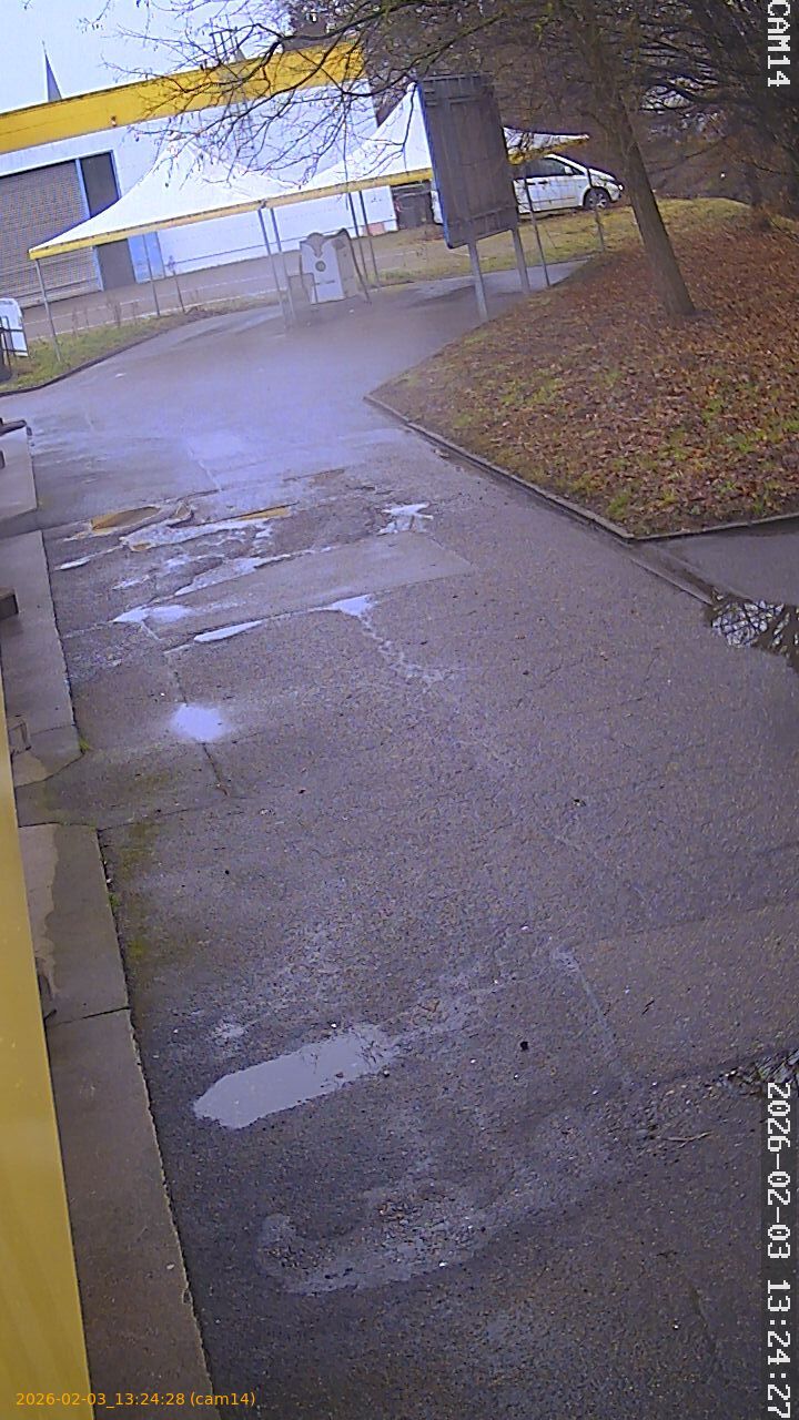 thumbnail_20260203132428