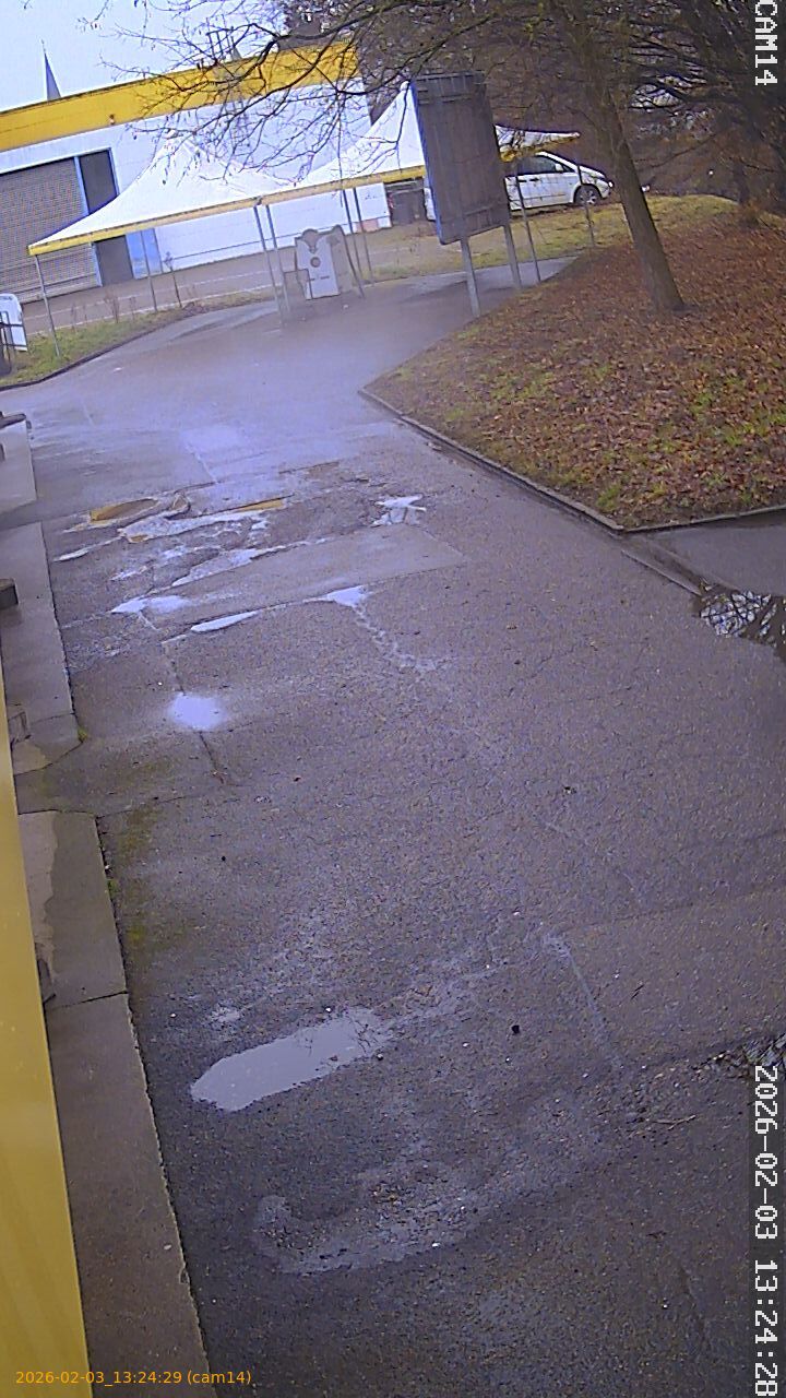 thumbnail_20260203132429