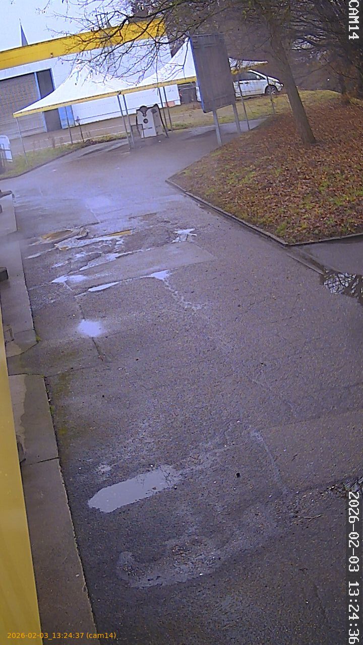 thumbnail_20260203132437