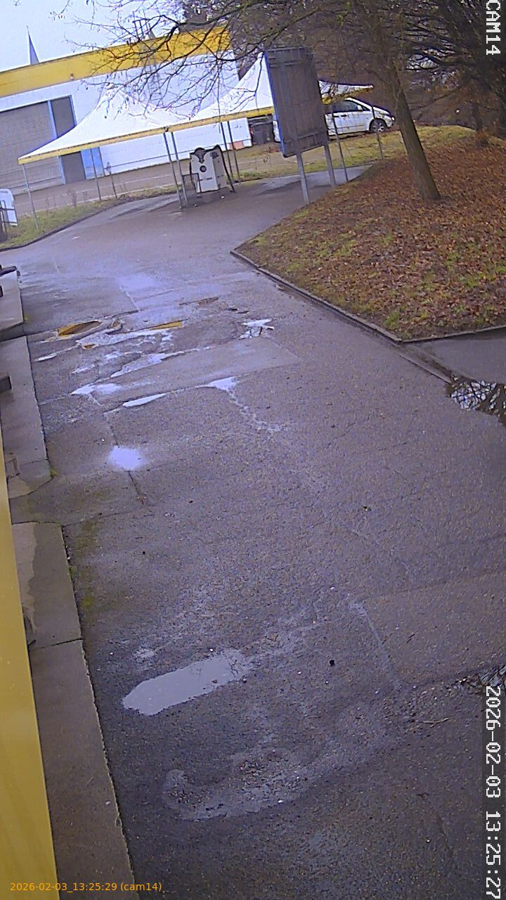 thumbnail_20260203132529