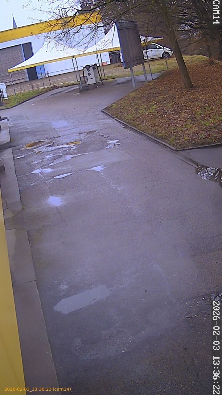 thumbnail_20260203133623