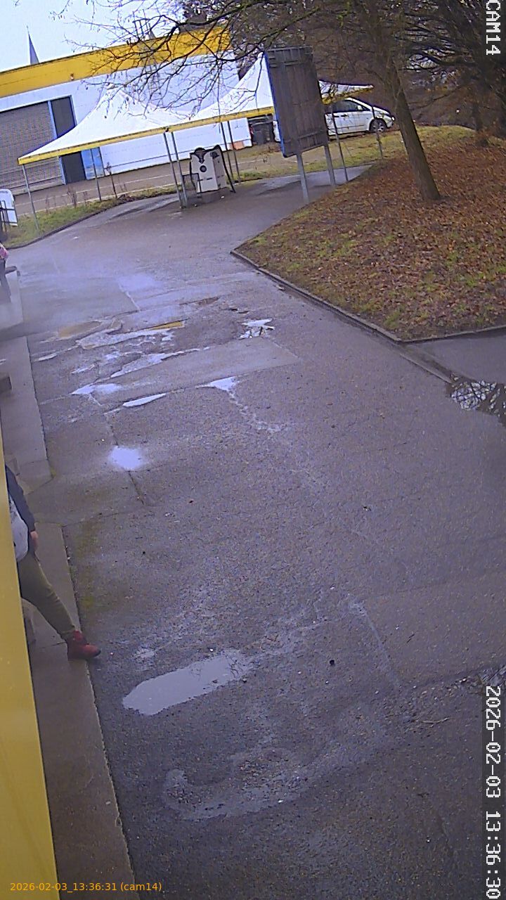 thumbnail_20260203133631